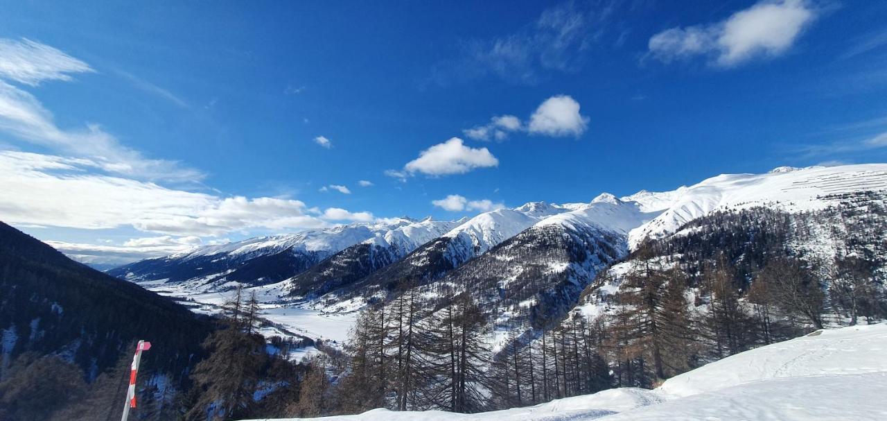Chalet Biene - Swiss Alp Chalet With Sauna And Jacuzzi 乌尔里兴 外观 照片