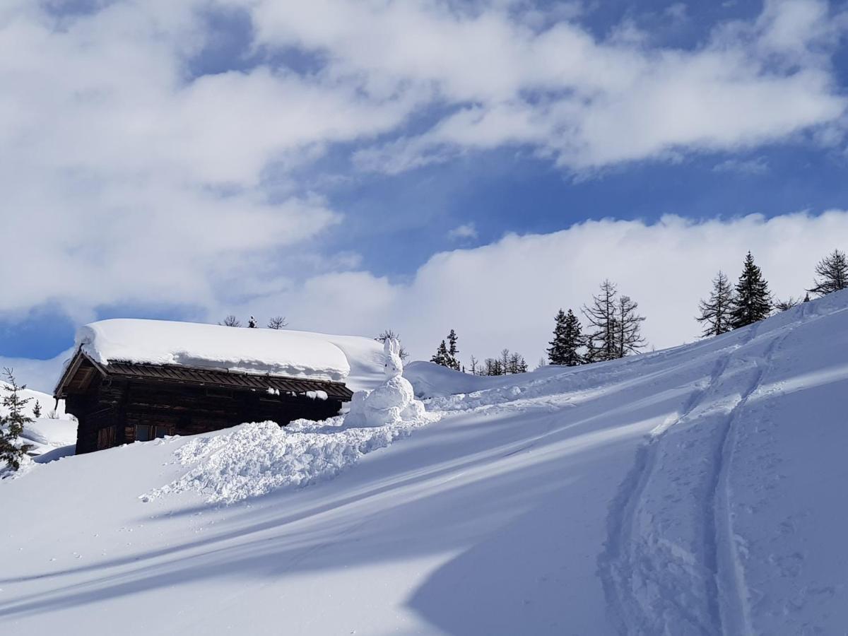 Chalet Biene - Swiss Alp Chalet With Sauna And Jacuzzi 乌尔里兴 外观 照片